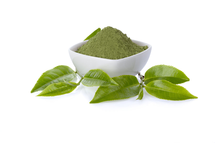 The Therapeutic Power of Green Tea