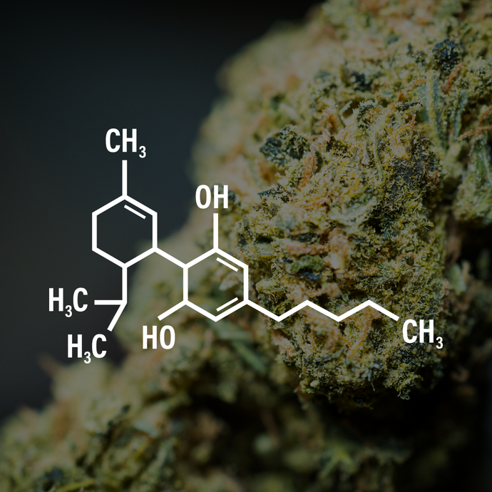 Finding The Strongest Cannabinoids: THCP + THCA