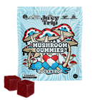 Load image into Gallery viewer, Rocket Pop Mushroom Gummies (8ct)