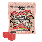 Load image into Gallery viewer, Watermelon Mushroom Gummies (8ct)