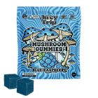 Load image into Gallery viewer, Blue Raspberry Mushroom Gummies (8ct)