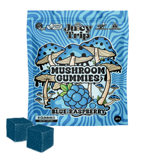 Blue Raspberry Mushroom Gummies (8ct)