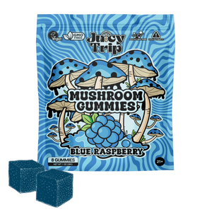Blue Raspberry Mushroom Gummies (8ct)
